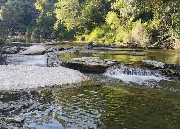 Campingplads Sur Pilotis Avec Terrasse - Api-1-52-1515 Saint-Maime
